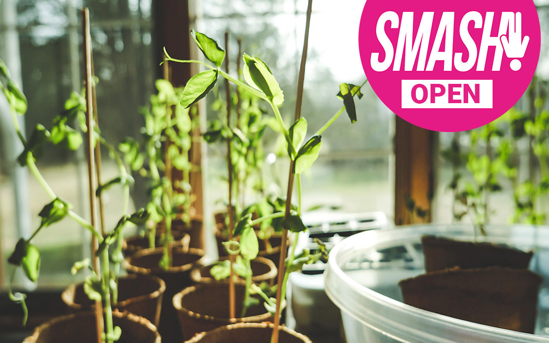 SMASH! OPEN: Grow / Planting Good Intentions