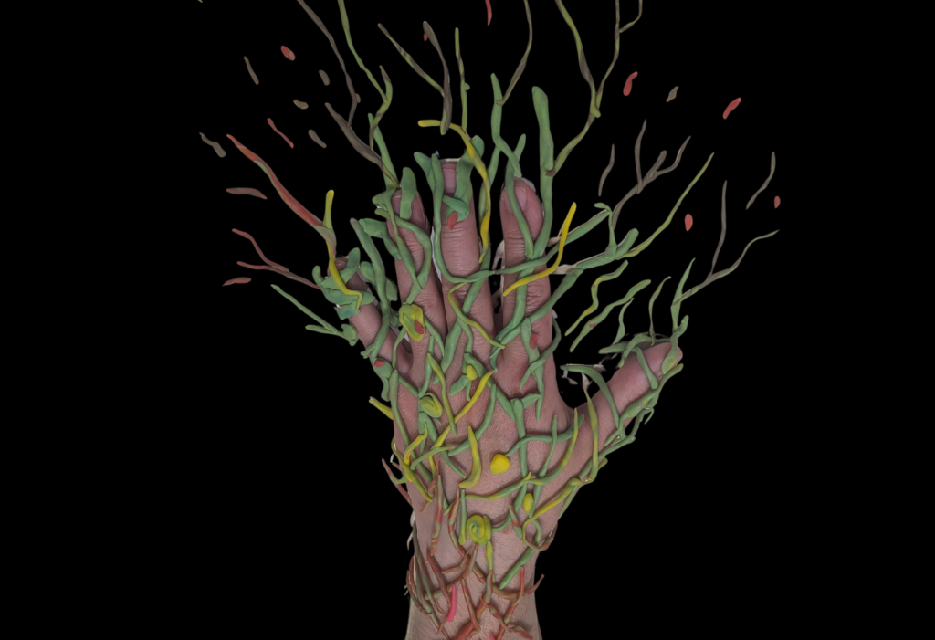 The central image shows a hand covered in green, yellow and pink clay shapes resembling growing plants